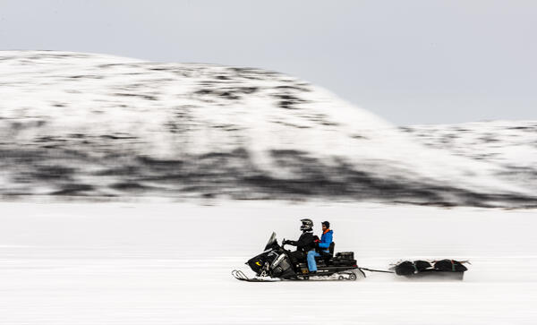 BARDU_WINTER_NLE_434