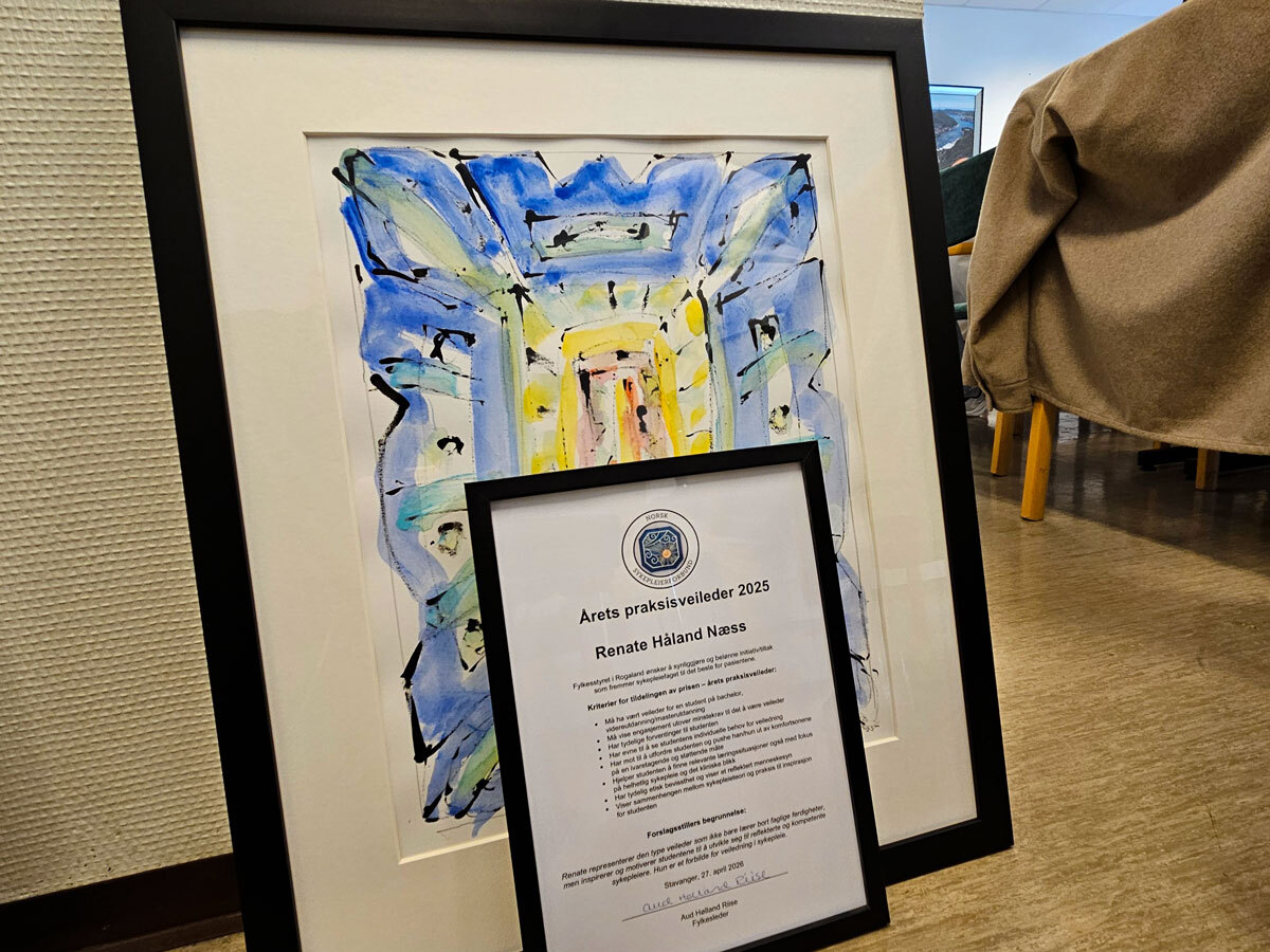 Selve diplomet og bildet