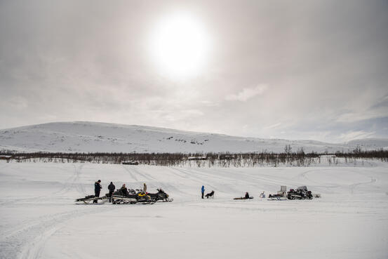 BARDU_WINTER_NLE_440
