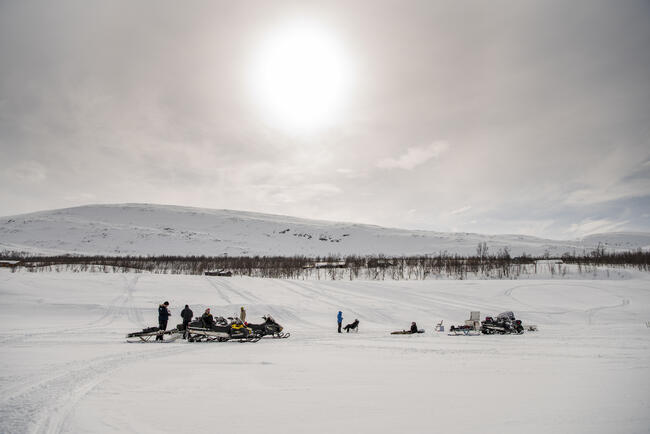 BARDU_WINTER_NLE_440