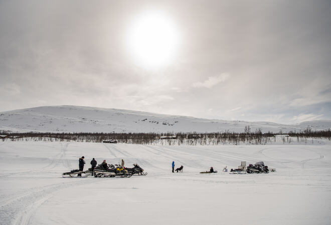 BARDU_WINTER_NLE_440