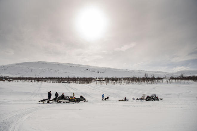 BARDU_WINTER_NLE_440