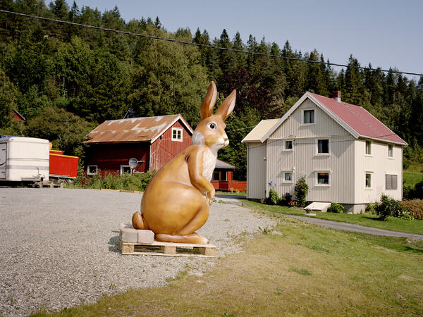 Foto: © Helge Skodvin