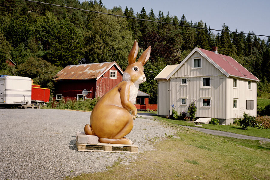 Foto: © Helge Skodvin