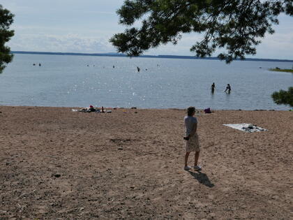 Sandviken