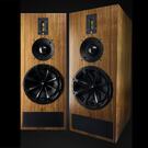 Kerr Acoustic K200S