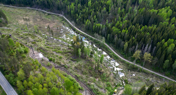 Skjervenmyra-NAB.jpg