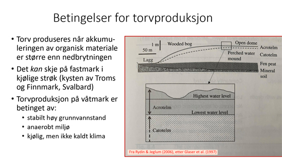 Rune-Halvorsen-11.2024.jpg