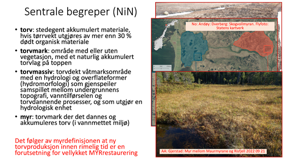 Sentrale-begreper-NIN-myr.jpg