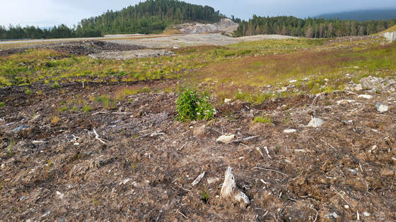 Klettelva-20260716_202348.jpg