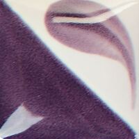 CN293