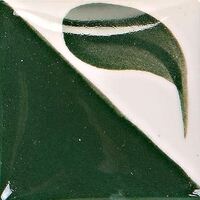 CN173dark-kelp-59ml