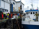Nordisk Mesterskap i havfiske, Sørvær